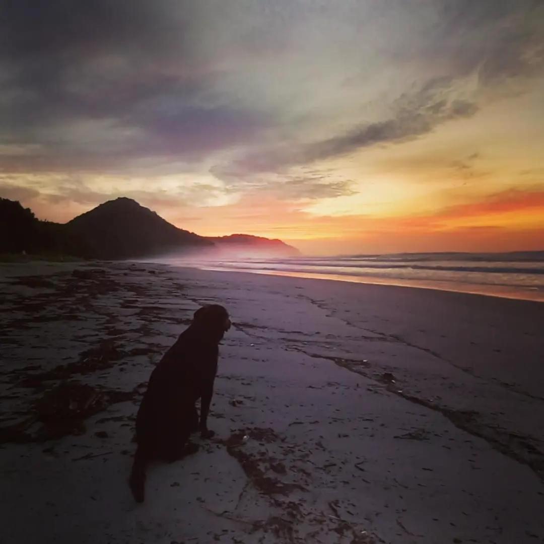 Praia De Itamambuca- Casa Charmosa E Iluminada Ubatuba Bagian luar foto
